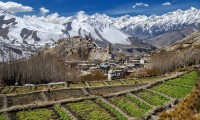 Jomsom and Muktinath Trekking