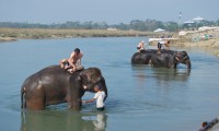 Bardia National Park Jungle Safari Tour