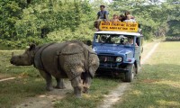 Bardia National Park Jungle Safari Tour