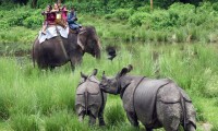 Bardia National Park Jungle Safari Tour