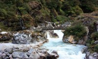 Kanchenjunga North Base Camp Trekking