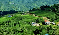 Kanchenjunga Base Camp Trekking