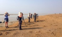 Koshi Tappu wildlife Safari Nepal