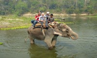 Koshi Tappu wildlife Safari Nepal