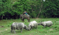 Koshi Tappu Wildlife Reserve