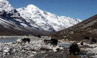 Yala-peak climbing