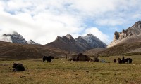 Lower Dolpo Trekking