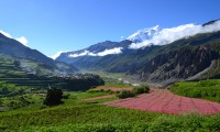 Lower Dolpo and Annapurnas Trekking