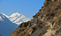Lower Dolpo and Muktinath Trekking