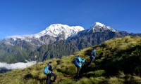 Machhapuchhre Model Trekking