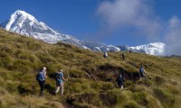 Machhapuchhre Model Trekking