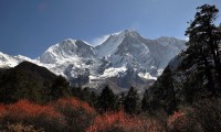 Manaslu Circuit Trekking