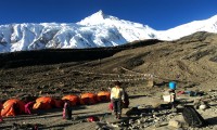 Manaslu and Manaslu Circuit Trekking