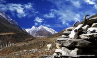 Tsum Valley and Manaslu Circuit Trekking