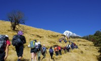 Mardi Himal View Trek