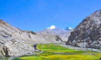 Markha Valley Trekking