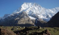 Cultural Mt. Api Himal Expedition