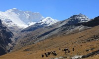 Mt. Putha Hiunchuli Expedition