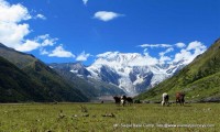 Saipal Base Camp Trek