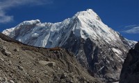 Tharpuchuli Peak Base camp