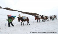 Saipal Base Camp Trekking