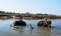 Everest Trail Trekking with Chitwan Jungle Safari