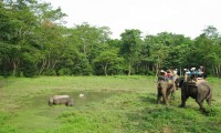 Koshi Tappu Wildlife Reserve