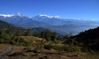 Panchase Trekking in Annapurna Region