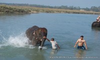 Chitwan Wildlife Heli Tour