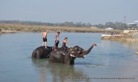 Chitwan Wildlife Heli Tour