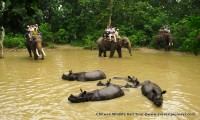 Chitwan Wildlife Heli Tour