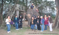 Chitwan Wildlife Heli Tour