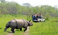 Chitwan Jungle Safari Nepal