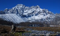 Phari Lapcha Peak climbing