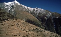Nepal Pisang Peak Climbing