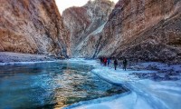 Rupshu Valley Trek