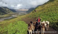 Mt. Saipal Base Camp Trekking