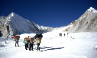 Sherpani Col Pass Trekking