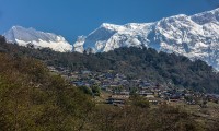 Sikles Trekking - Annapurna Region