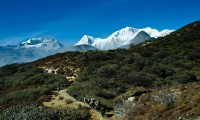 Singalila Trekking from Sikkim India