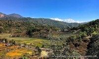 Nepal Tour and Sirubari Village Trekking