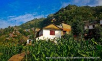 Nepal Tour and Sirubari Village Trekking