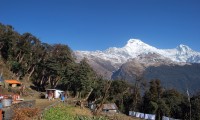 Ghorepani Poon Hill and Chitwan