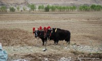 Lhasa Day City sightseeing