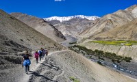 Rupshu Valley Trek