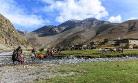 Lower Dolpo and Kagmara Pass Trekking