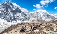 Mt. Shishapangma southwest face expedition in Tibet region