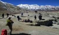 Upper Mustang and Muktinath Trekking