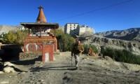 Upper Mustang and Muktinath Trekking