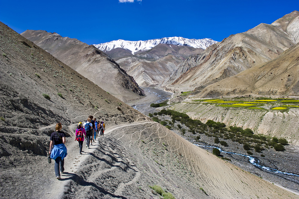 rupshu valley trek